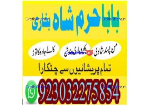 amil baba contact number, kala jadu expert in usa