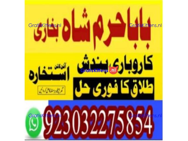 amil baba contact number, kala jadu expert in usa