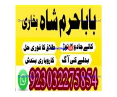 amil baba contact number, kala jadu expert in usa
