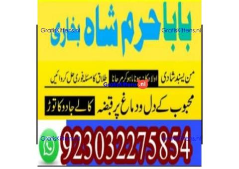 amil baba contact number, kala jadu expert in usa