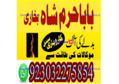 amil baba contact number, kala jadu expert in usa