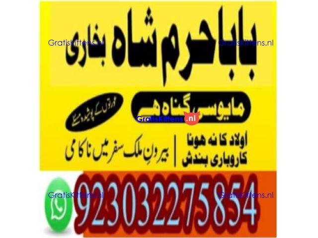 amil baba contact number, kala jadu expert in usa