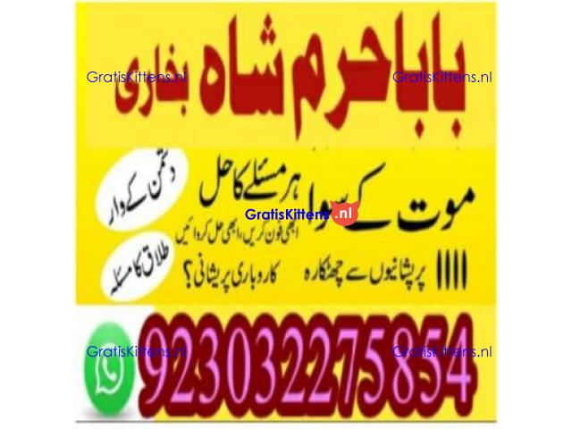 amil baba contact number, kala jadu expert in usa