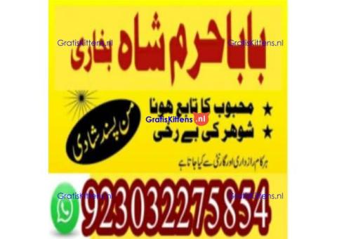 amil baba contact number, kala jadu expert in usa