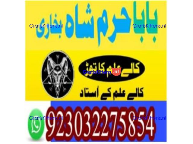 amil baba contact number, kala jadu expert in usa