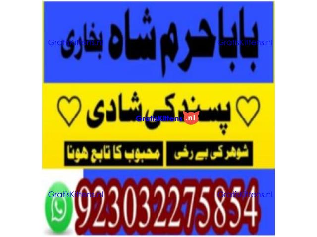 amil baba contact number, kala jadu expert in usa
