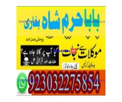 amil baba contact number, kala jadu expert in usa