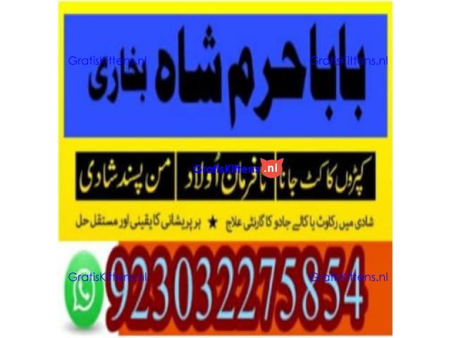 amil baba contact number, kala jadu expert in usa