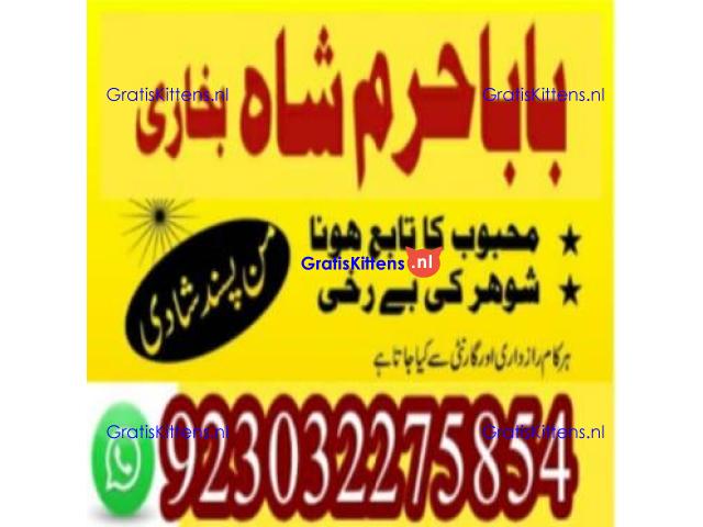 amil baba contact number, kala jadu expert in usa