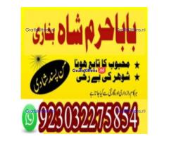 amil baba contact number, kala jadu expert in usa
