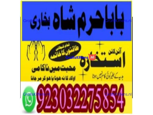 amil baba contact number, kala jadu expert in usa
