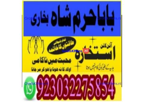amil baba contact number, kala jadu expert in usa