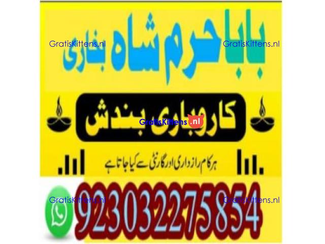 amil baba contact number, kala jadu expert in usa