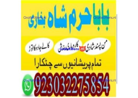 amil baba contact number, kala jadu expert in usa