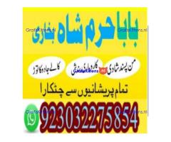 amil baba contact number, kala jadu expert in usa