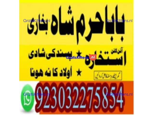 amil baba contact number, kala jadu expert in usa