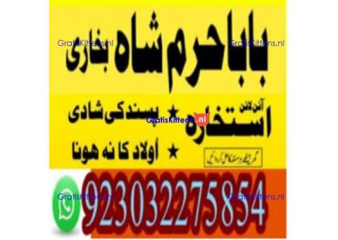 amil baba contact number, kala jadu expert in usa