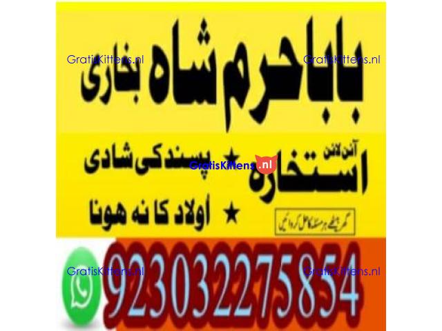 amil baba contact number, kala jadu expert in usa