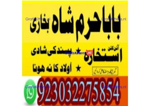 amil baba contact number, kala jadu expert in usa