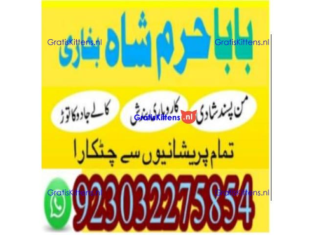 amil baba contact number, kala jadu expert in usa