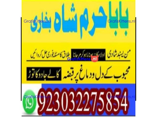 amil baba contact number, kala jadu expert in usa
