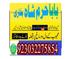 amil baba contact number, kala jadu expert in usa