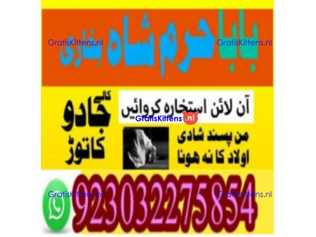amil baba contact number, kala jadu expert in usa