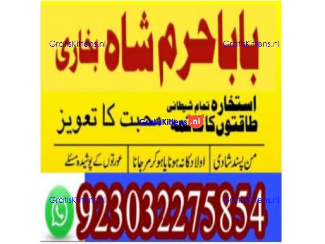 amil baba contact number, kala jadu expert in usa