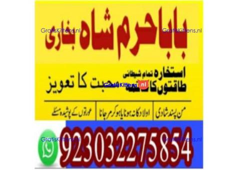 amil baba contact number, kala jadu expert in usa