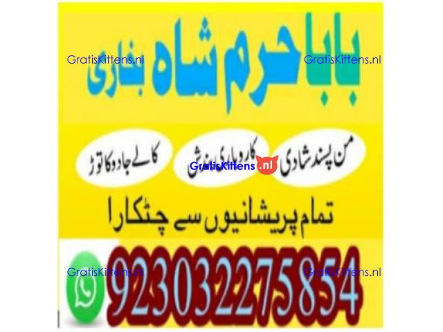 amil baba contact number, kala jadu expert in usa