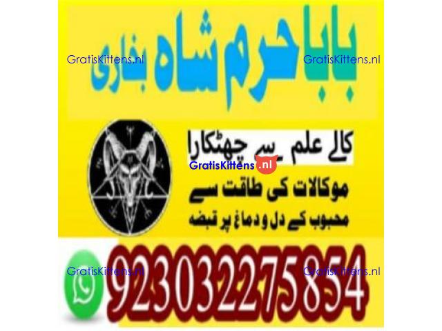 amil baba contact number, kala jadu expert in usa
