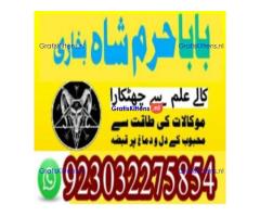 amil baba contact number, kala jadu expert in usa