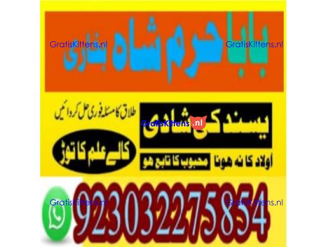 amil baba contact number, kala jadu expert in usa