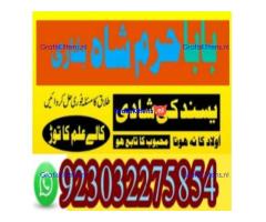 amil baba contact number, kala jadu expert in usa