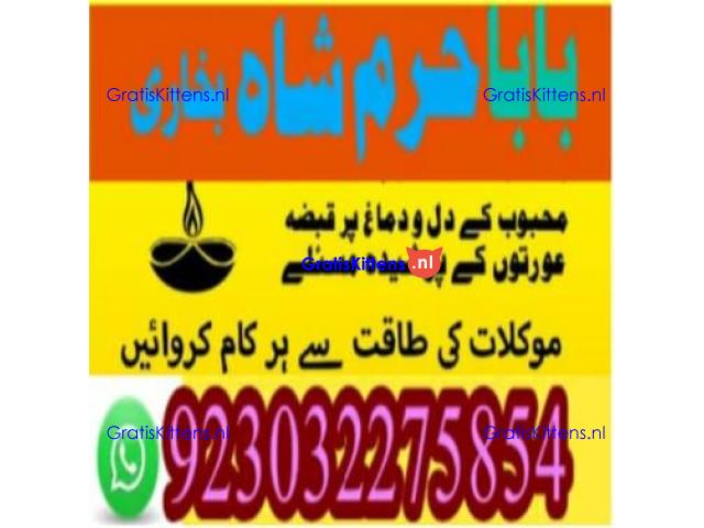 amil baba contact number, kala jadu expert in usa