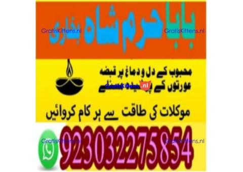 amil baba contact number, kala jadu expert in usa