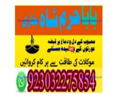 amil baba contact number, kala jadu expert in usa