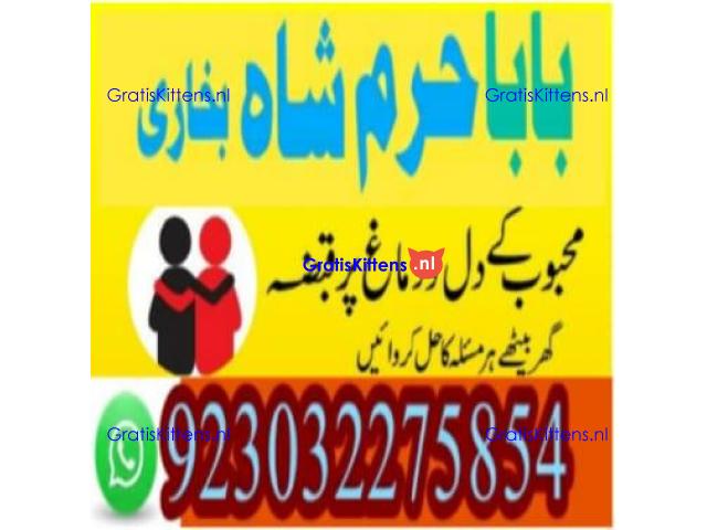 amil baba contact number, kala jadu expert in usa