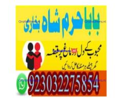 amil baba contact number, kala jadu expert in usa