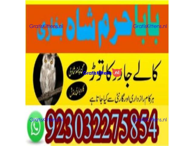 amil baba contact number, kala jadu expert in usa