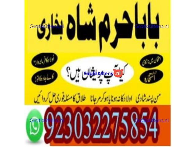 amil baba contact number, kala jadu expert in usa