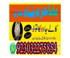 amil baba contact number, kala jadu expert in usa