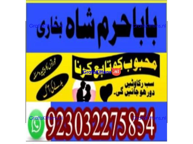 amil baba contact number, kala jadu expert in usa