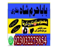 amil baba contact number, kala jadu expert in usa