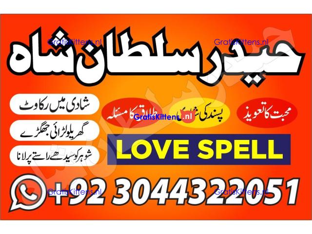 Professional.authentic Kala jadu k tor,amil Baba Lahore