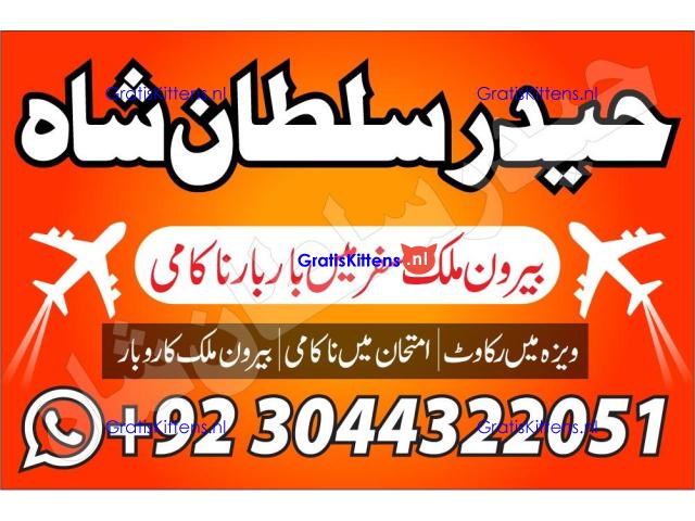 Professional.authentic Kala jadu k tor,amil Baba Lahore