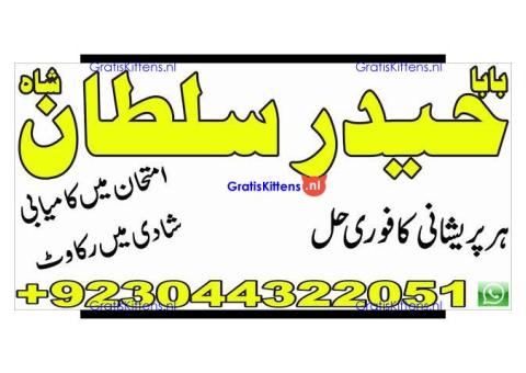 Shadi mein kamyabi ke liye rohani ilaj amil baba uk