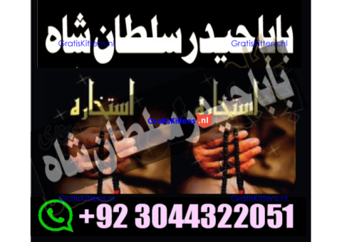 manpasand shadi for love back and family in uk karachi