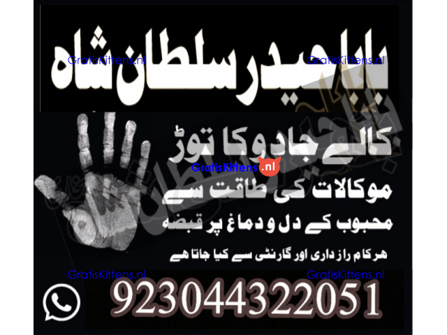 manpasand shadi for love back and family in uk karachi