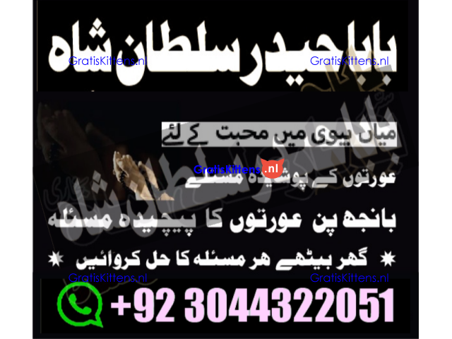 manpasand shadi for love back and family in uk karachi